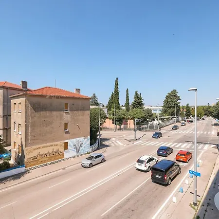 Zenith Oasis Apartment